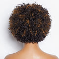 Ready to Go Blonde Highlights Afro Curls Light Weight Glueless Short Wig - US Only