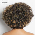 1 SEC INSTALL WIG | Honey Blonde Highlight / Natural Black Kinky Curly Glueless Minimalist HD Lace Classic Short Wig Pre-Cut Lace
