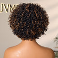 New Customers Only | Throw On & Go Brown Highlight Short Curly with Bangs Wig Ultra Comfort Cotton Cap Glueless Hair Loss Friendly Wig