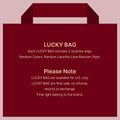 Lucky Bag 2 Wigs ( VALUED $338) 18-20 Inches  | Random Color | Ships to US Only*